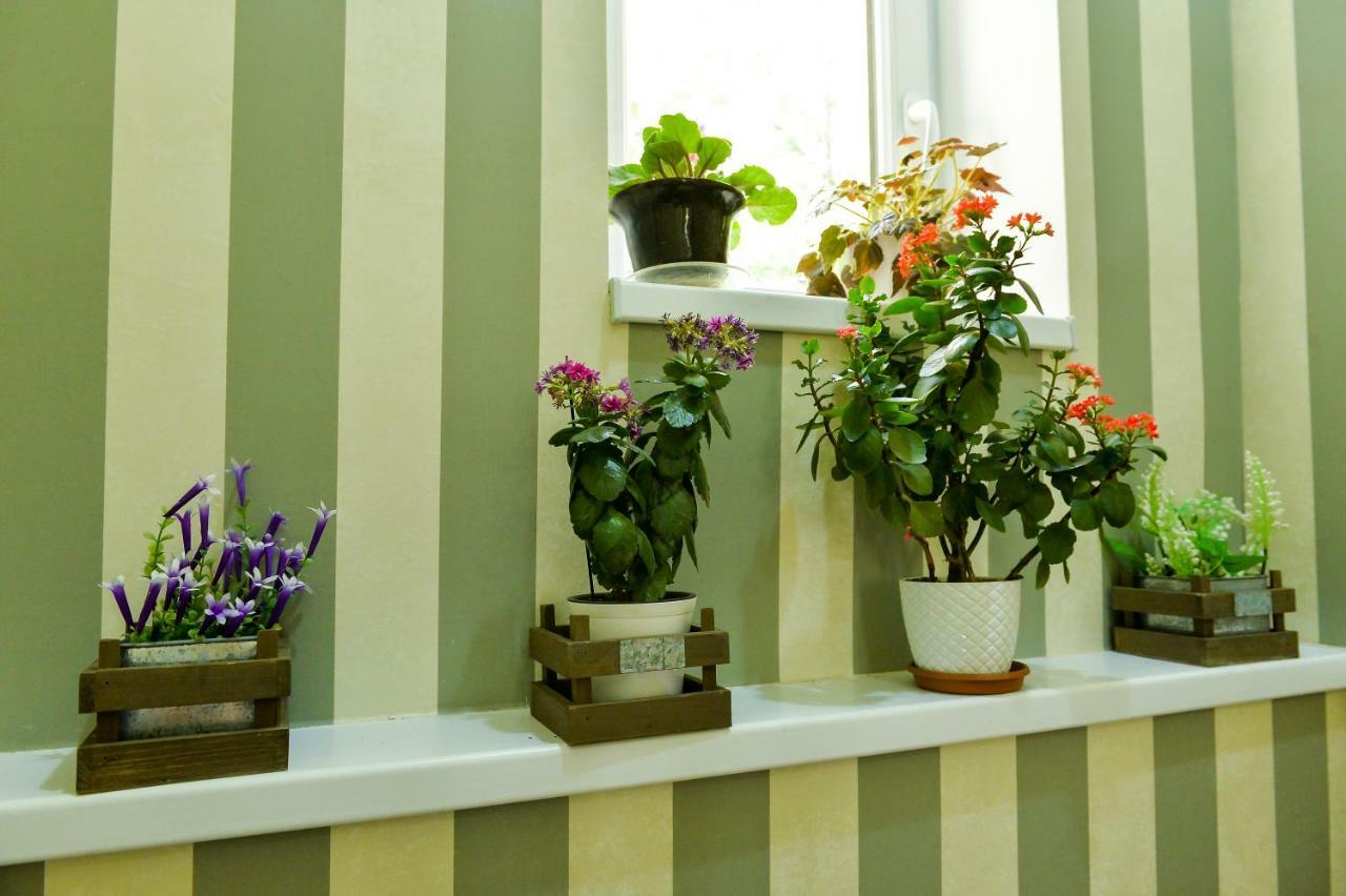 Friendly Guest House Κουτάισι Εξωτερικό φωτογραφία